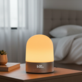 Sunrise Wake-Up Alarm Lamp